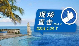 现场直击丨看生物质锅炉在巴厘岛如何强操作，回头客非它不选